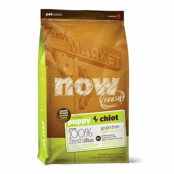 ⁦NOW - נאו גורים גזע קטן 2.72 ק"ג⁩ – תמונה ⁦2⁩