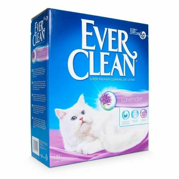 אבר קלין Ever Clean בניחוח לבנדר 10 ליטר