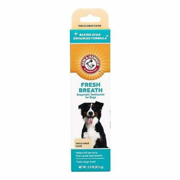 משחת שיניים אנזימטית לכלבים וניל וג'ינג'ר Arm & Hammer
