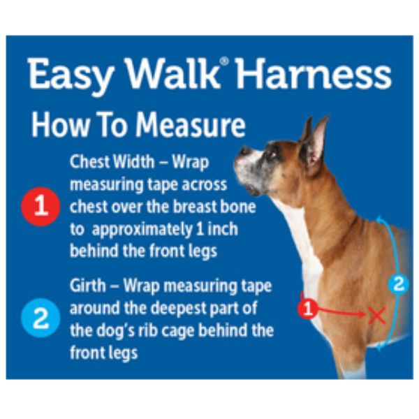 ⁦רתמה פטסייף איזי ווק המקורי נגד משיכות Easy Walk שחור⁩ – תמונה ⁦4⁩