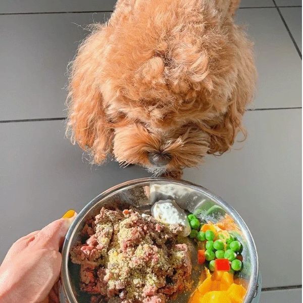 ⁦בארק Bark אבקת חלב יאק - 300 גרם⁩ – תמונה ⁦2⁩