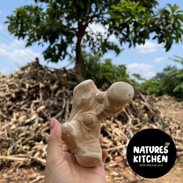 ⁦נייצר קיטשן Nature's Kitchen מקל לעיסה עץ קפה 100% טבעי Gorilla Chew - בינוני⁩ – תמונה ⁦2⁩