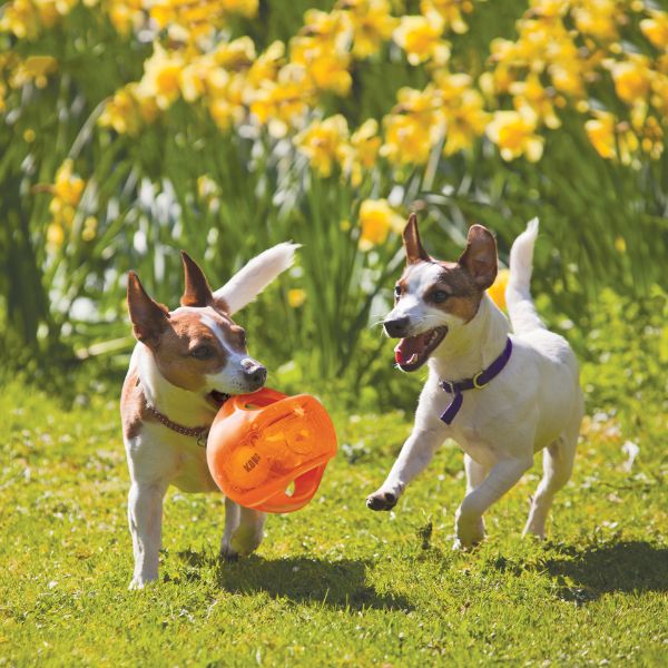 ⁦קונג כדור קופצני גמבלר -L/XL⁩ – תמונה ⁦2⁩