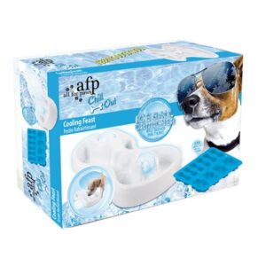 משחק עם קרח Chill Out Cooling Fest מבוך AFP