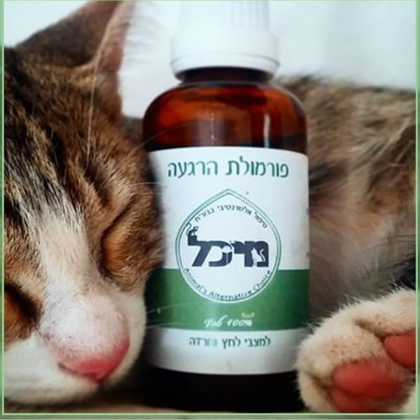 ⁦פורמולה טבעית להרגעת כלבים וחתולים (יעיל מאוד) - 10 מ"ל⁩ – תמונה ⁦3⁩
