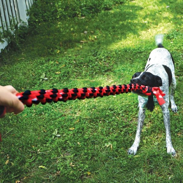 ⁦קונג סיגניצר צעצוע חבל כפול למשיכה KONG Signature Tug Toy⁩ – תמונה ⁦2⁩
