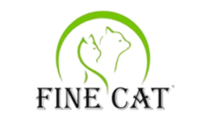 Fine cat