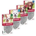 אדוונטיקס Advantix אמפולה לטיפול נגד פרעושים וקרציות לכלבים